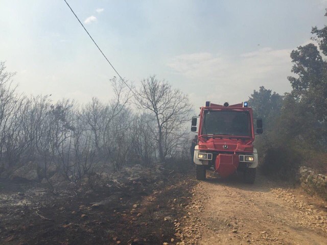 U Briskoj gori kod Ulcinja: Šest sati gasili požar