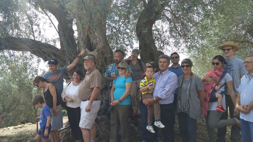 Staff of the U.S Embassy visiting Buzuku olive plantation