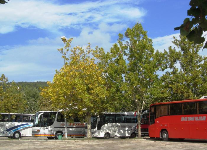Gjendet i vdekur shtetasi gjerman në parkingun e stacionit të autobusave në Ulqin
