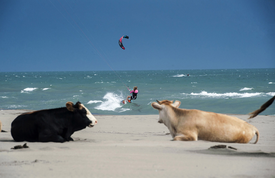 Lopet-shikojn-kitsurf-ne-plazhe-te-ulqinit