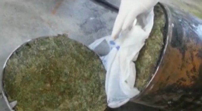 Na graničnom prelazu Sukobin – Murićani zaplijenjeno 30 kilograma skanka