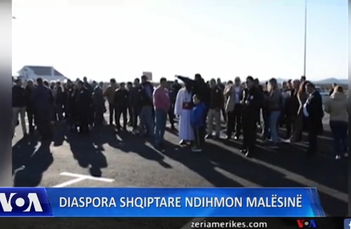 Diaspora shqiptare e Malit të Zi – Video