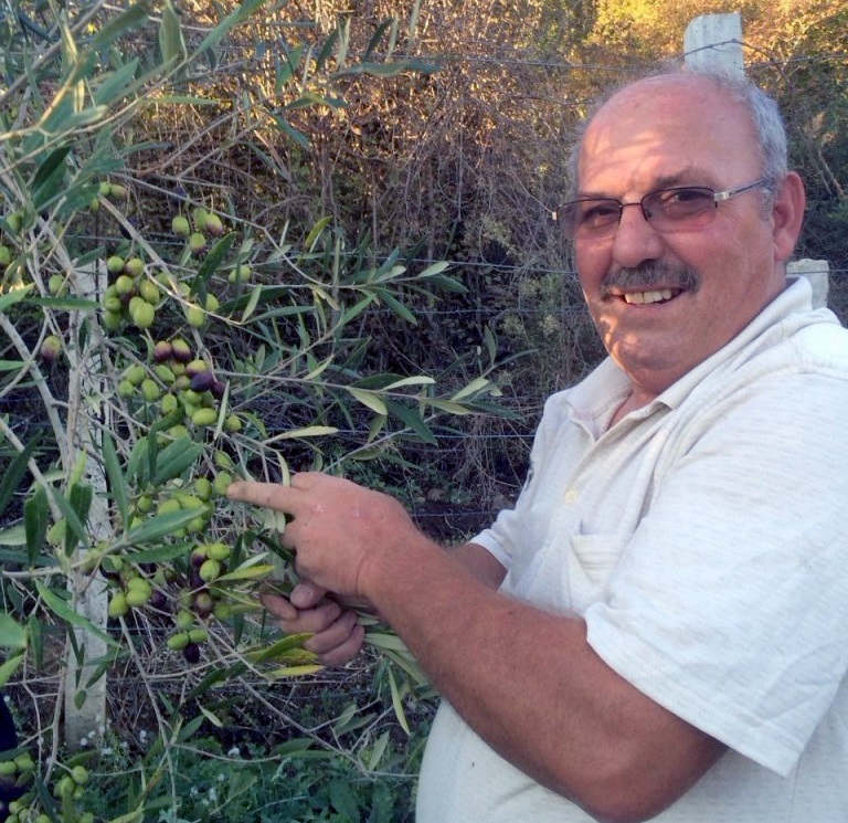 In Memoriam: Shaban-Buqo Kollari