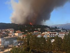 Zjarr në malin e Bardhë te Ulqinit-3