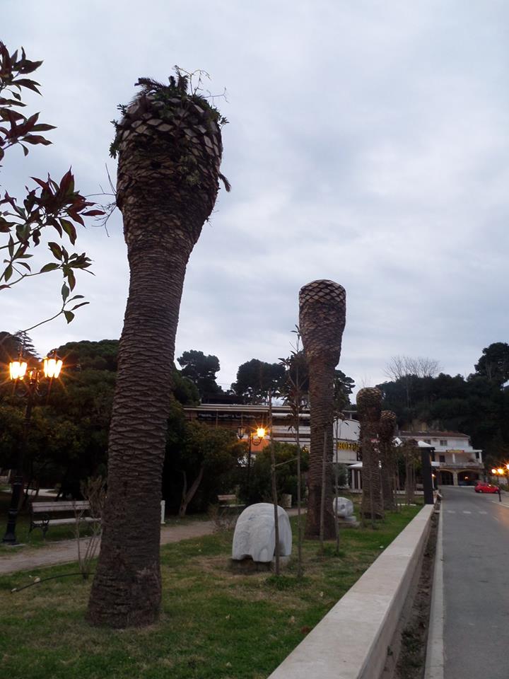 Hoće li Ulcinj za nekoliko godina ostati bez palmi?