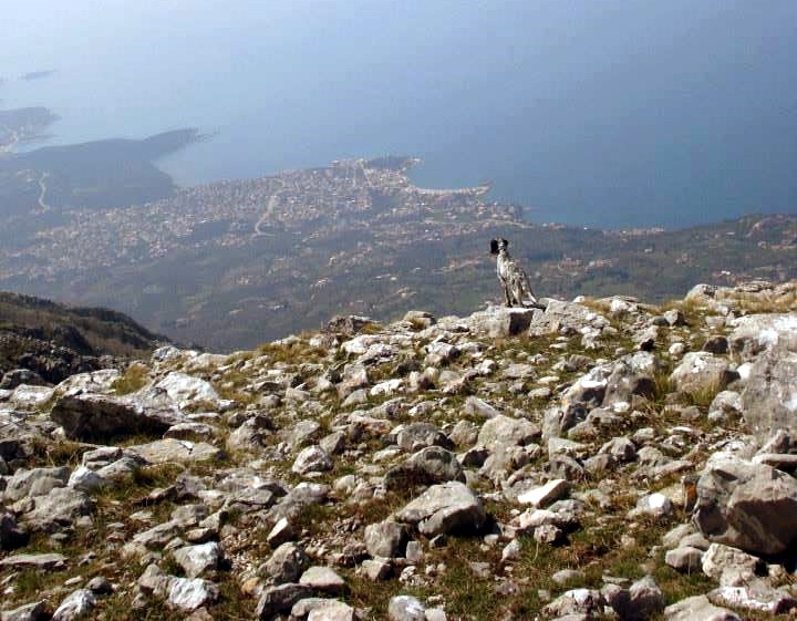 SHB “Rumia” organizon  dalje në Malin Lisin