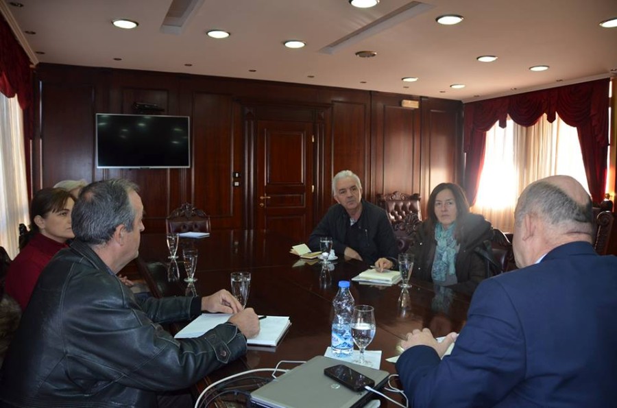 Fakulteti Bioteknik i Universitetit të Malit të Zi do të përgatisë studimin për revitalizimin e ullishtës në Valdanos