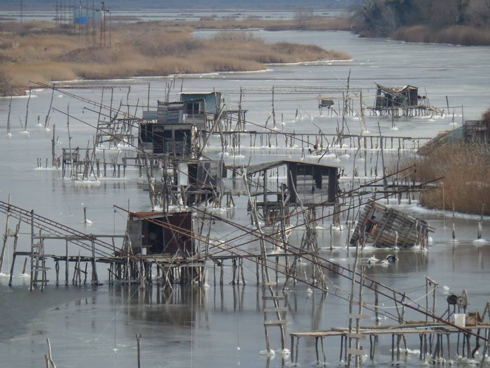 Fotolajm nga ngrirja e Port Milenës