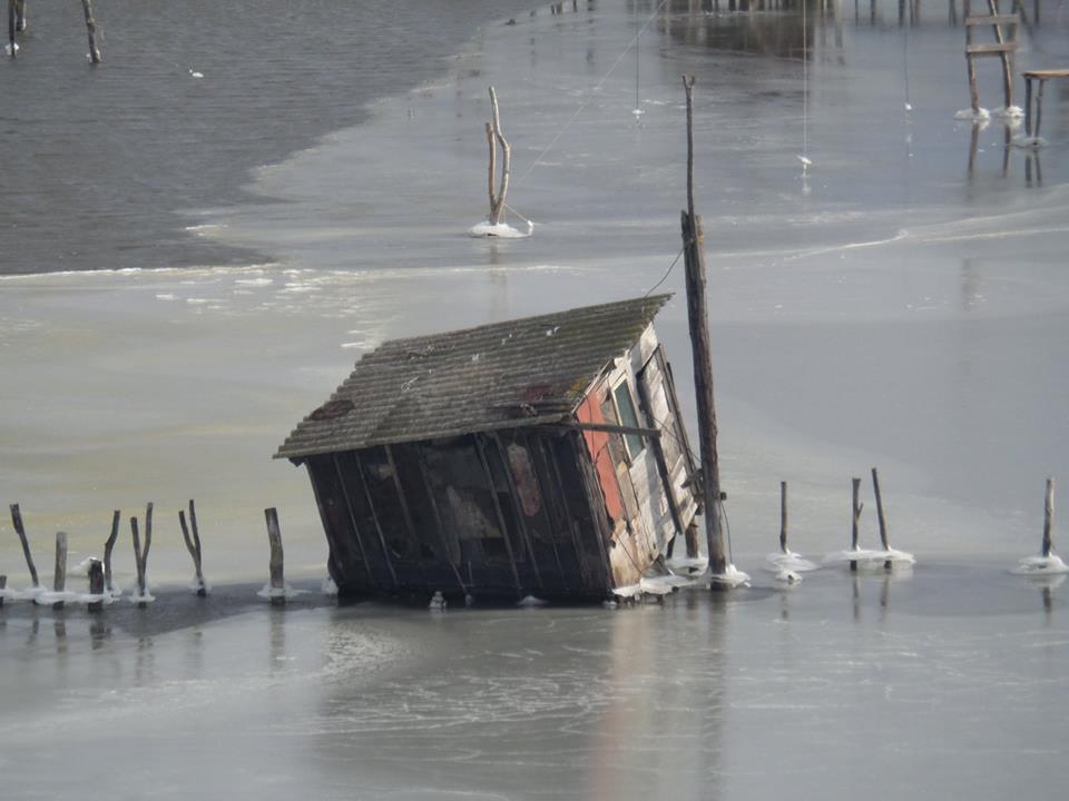 Fotolajm nga ngrirja e Port Milenës-2