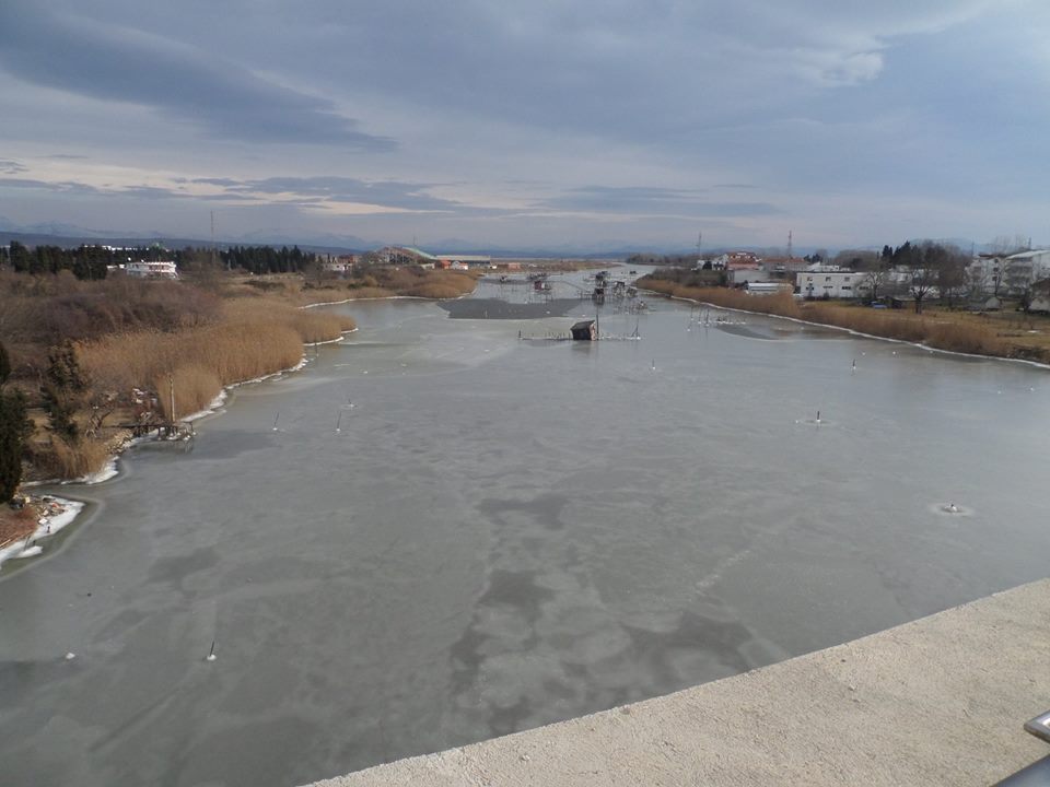 Fotolajm nga ngrirja e Port Milenës-7