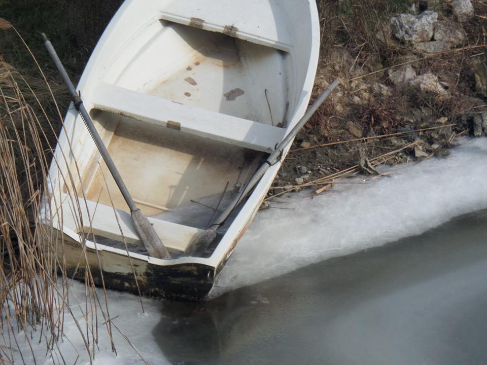 Fotolajm nga ngrirja e Port Milenës-8