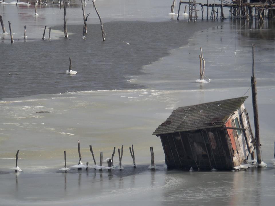 Fotolajm nga ngrirja e Port Milenës-9