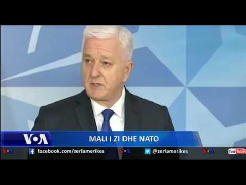 Progresi i Malit të Zi drejt anëtarësimit në NATO – Video