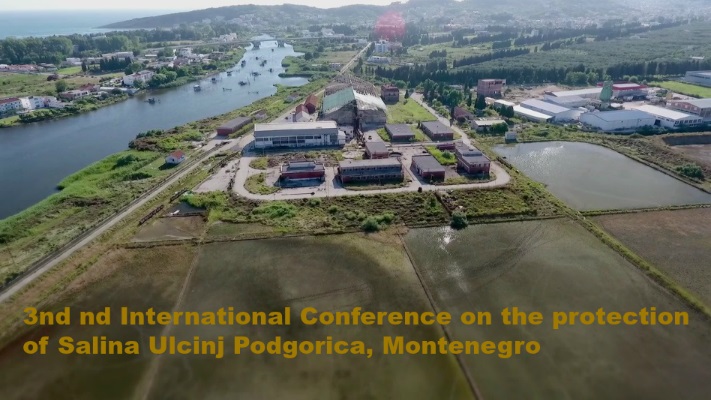 Në Podgoricë do mbahet konferenca për mbrojtjen e Kripores së Ulqinit