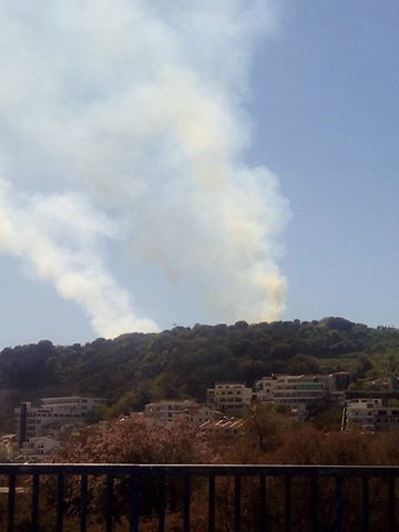 Zjarr në pyllin e bregdetit të Ulqinit-1