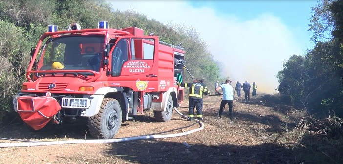 Zjarr në pyllin e bregdetit të Ulqinit, zjarrfikësit në vendngjarje – Video