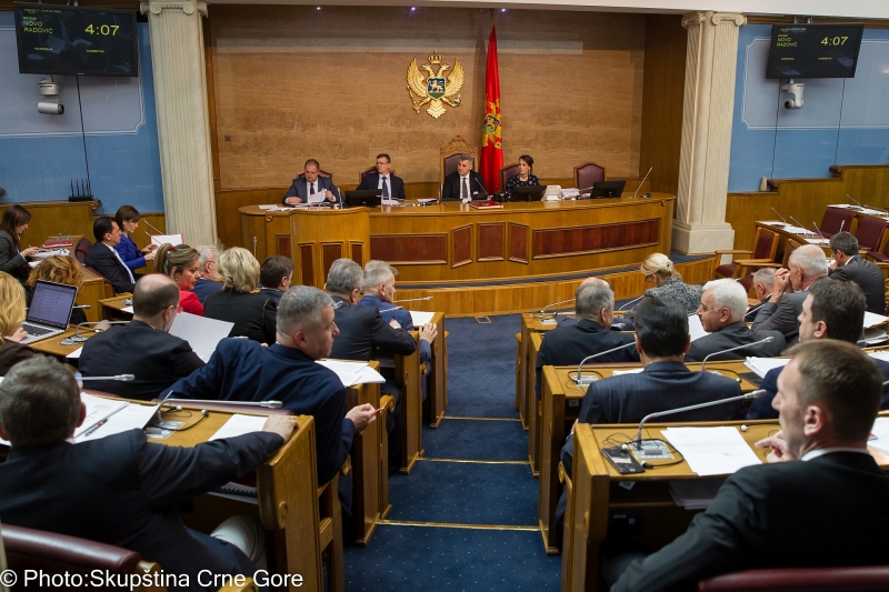 Roli i partive politike shqiptare në Mal të Zi