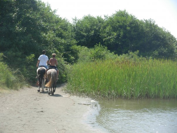 jahanje konja ulcinj