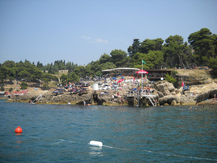 Pine-Wood-Ulcinj-2