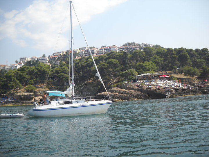 Pine-Wood-Ulcinj-3