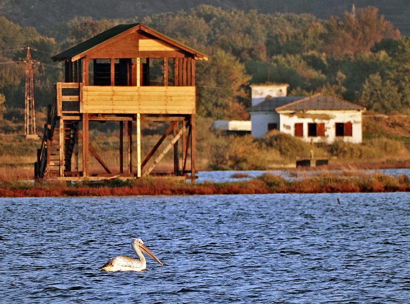 Ulcinj-Saltworks-Montenegro-bird’s-habitat-area