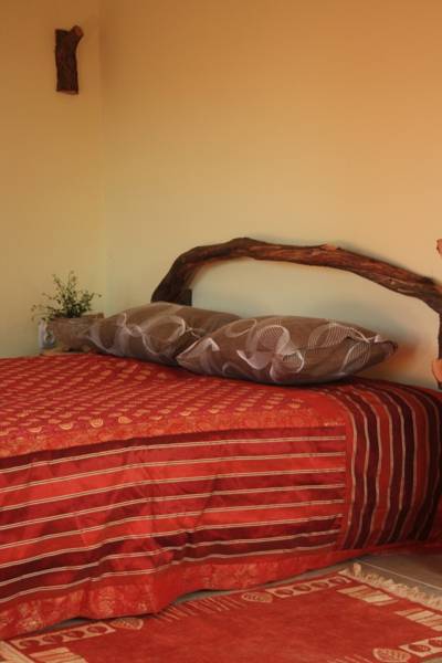 Zlata-Oliva-Apartments-Ulcinj-Montenegro-7