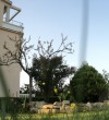 Apartments-Queen-Ulcinj-3
