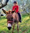 Holiday Park Olive Tree -Ulcinj-Montenegro.16