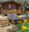 Holiday Park Olive Tree -Ulcinj-Montenegro.6