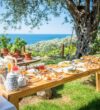 Holiday Park Olive Tree -Ulcinj-Montenegro.8