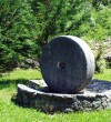 Mystery of the Olive Tree in Ulcinj-Montenegro