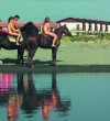 Nudisti na jahanje konja na adu bojanu ulcinj