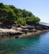 Pine-Wood-Ulcinj-1
