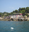 Pine-Wood-Ulcinj-2