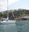 Pine-Wood-Ulcinj-3