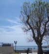 Stevo-Guesthouse-Ulcinj-Montenegro-21