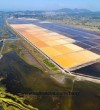 Ulcinj Salina paradise of biodiversity threatened with extinction-3
