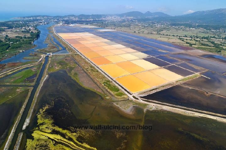 Ulcinj Salina: Montenegro Acts to Save Bird-Rich Coastal Wetland