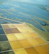Ulcinj-Saltworks-Montenegro-bird’s-habitat-area-1
