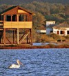 Ulcinj-Saltworks-Montenegro-bird’s-habitat-area
