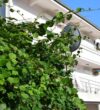 Villa Guci Ulcinj Montenegro.9